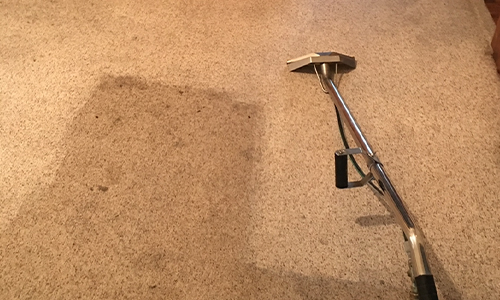 carpet cleaning