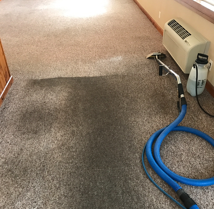 absolute cleaning systems professional home carpet cleaning