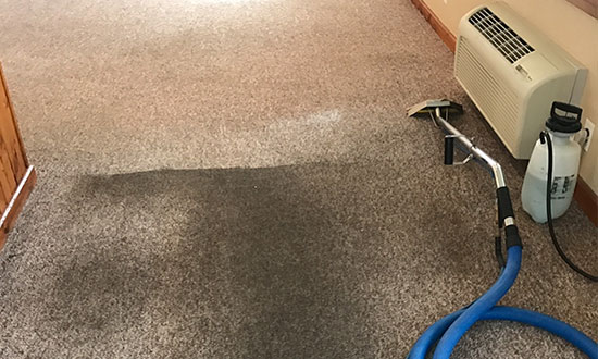 absolute cleaning systems carpet cleaning
